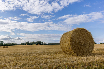 Round yellow hay bale in a large field