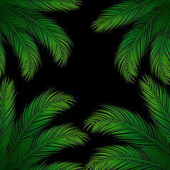 Fototapeta na wymiar Palm Leaves on Black Background | Holiday Vector Design