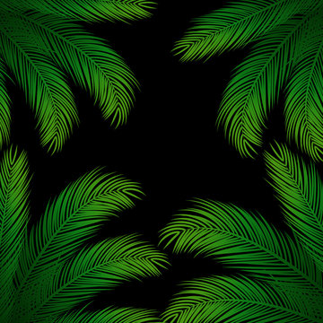 Palm Leaves on Black Background | Holiday Vector Design