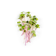 Heap of radish micro greens on white background. Healthy eating concept of fresh garden produce...