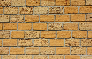 Fototapeta premium Coquina or Shelly Limestone Wall Textured Background.