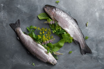 Delicious fresh fish (trout) with herbs