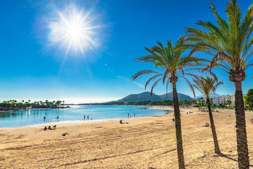 Sommer Sonne Strand Meer Palmen Urlaub Insel Mallorca Spanien Mittelmeer Bucht von Alcudia