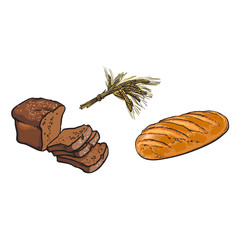 vector sketch fresh white rye bread loaf, brown sliced bread wheat ears bunch set. Detailed hand drawn isolated illustration on a white background. Flour pastry products, bakery banner design object