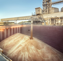 Loading of wheat on the ship