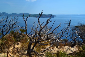 Sardinien