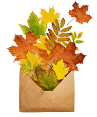 Opened craft paper envelope full of dry autumn leaves