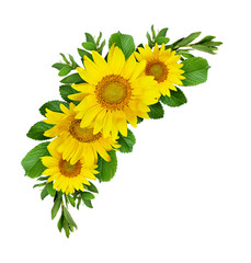 Yellow sunflowers wave composition © Ortis