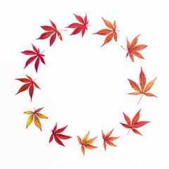Autumn composition. Wreath frame of autumn maple leaves on white background. Flat lay, top view