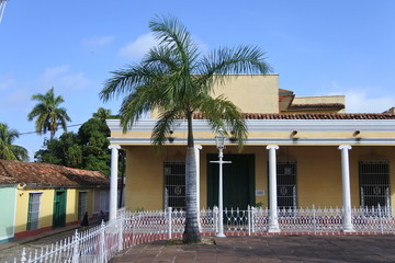 Palme an der Plaza Mayor in Trinidad auf Kuba 