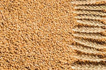grain and wheat flakes background