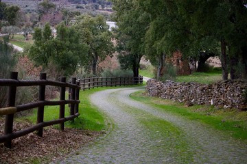 Caminho junto ao Azibo