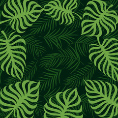 Fototapeta na wymiar border frame tropical palm leaf 10eps