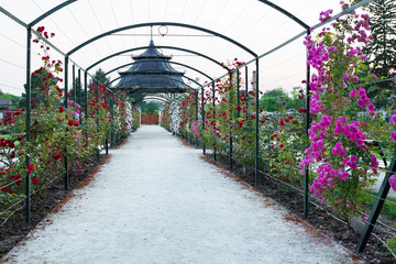 Esterhazy castle's rose garden, Fertod