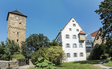 Fototapeta na wymiar castle in Neckarsbrunn with old tower