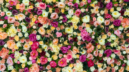 Beautiful flower field yellow green white pink purple and red lot of roses and peonies stand in