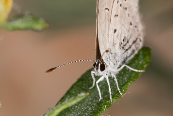 siberia nature buryatia irkutsk 