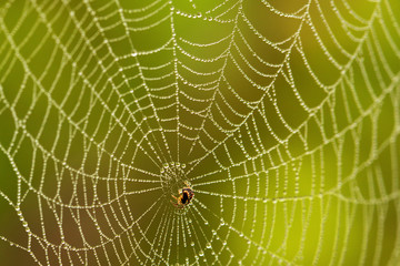 Obraz premium siberia nature buryatia irkutsk 