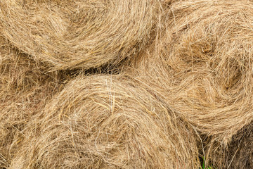 Closeup of golden hay roll
