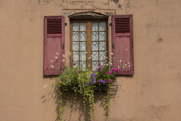 Fototapeta na wymiar Vecchie finestre, Alsazia, Francia