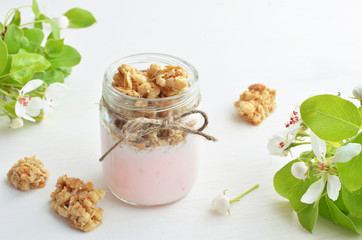 fruit yogurt with granola