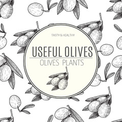 Seamless pattern Vector black ink hand drawn olive twig illustration. Vintage illustration.