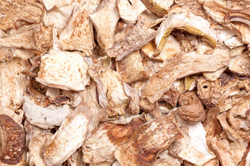 Dried Mushrooms Cep Boletus Edulis
