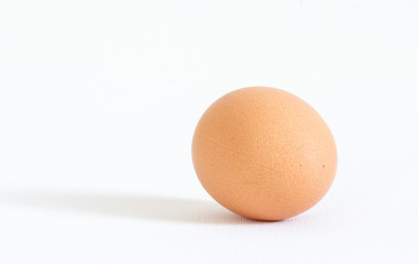 one egg on white background