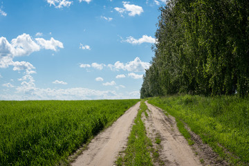 Fototapeta na wymiar country road on the border between field and forest on background of blue sky with clouds