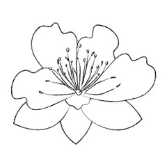 cute flower decorative icon vector illustration design