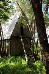 A lonely house standing in the backwoods of a forest..