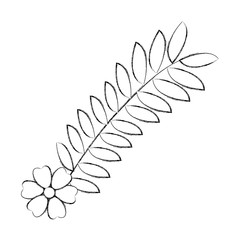 garden flowers decorative icon vector illustration design