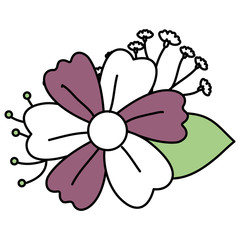 garden flowers decorative icon vector illustration design