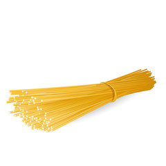 pasta spaghetti, realistic vector illustration