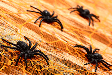 black spiders on the orange background