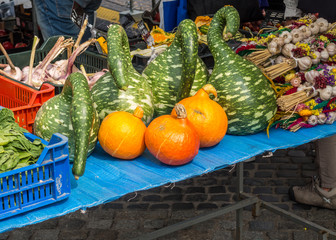 Deko Kürbisse auf dem Markt