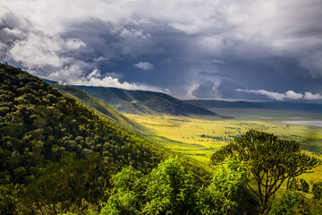 Landscape in The Ngorongoro Crater - Tanzania