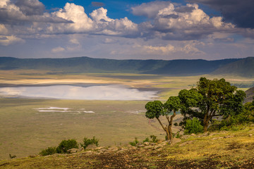 Fototapeta na wymiar Landscape in The Ngorongoro Crater - Tanzania