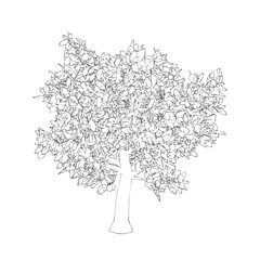 Abstract tree. Isolated on white background. Vector outline illustration.