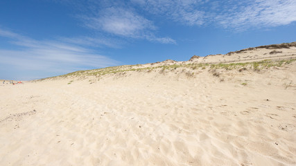 Fototapeta na wymiar Lit-et-Mixe Beach, atlantic coast, France