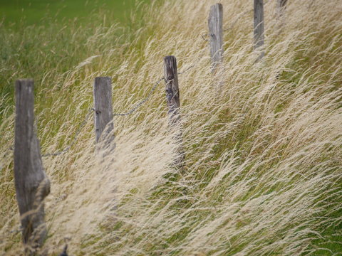 Aachen Laurensberg 8