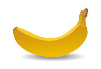 banana on a white background. vector graphics