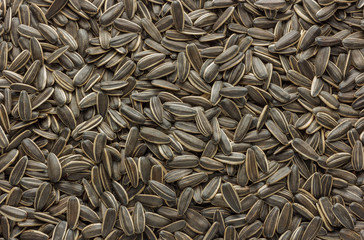 Organic sunflower seed for  texture or background.