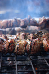 Close-up of a barbecue roasting on a hot grill 