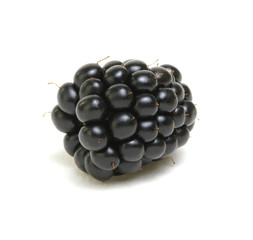 Blackberry isolated on white