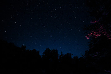 Naklejka premium Stars in the sky