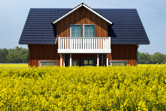 Skandinavisches Holzhaus mit Rapsfeld