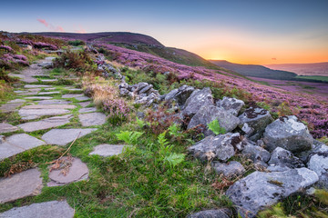 Simonside Hills path at Sunset, popular with walkers and hikers they are covered with heather in...