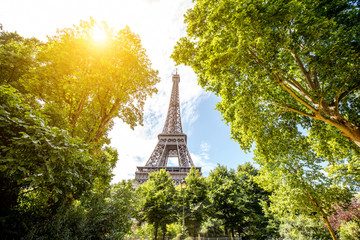 Landscape view on the Eiffel tower with green trees during the sunny weather in Paris