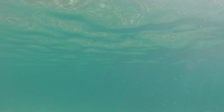 Sott'acqua, sfondo con mare verde